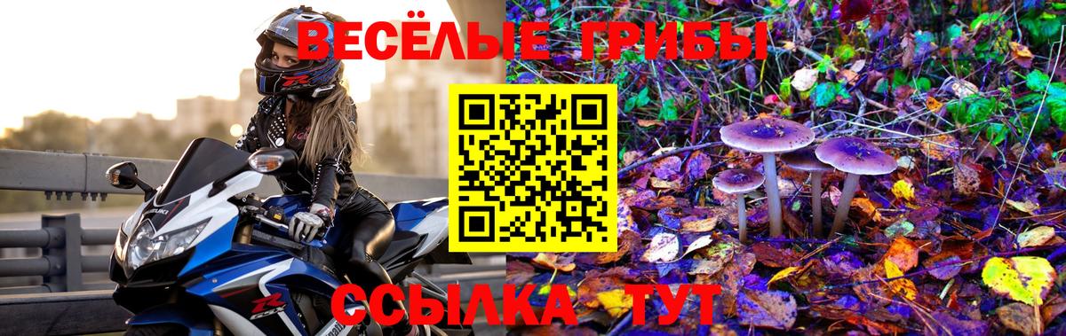 Псилоцибиновые грибы ЛСД  Галлюциногенные грибы GOLDEN TEACHER  Вход с VPN  Электрогорск 